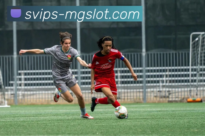 MG电子官网平台生态图